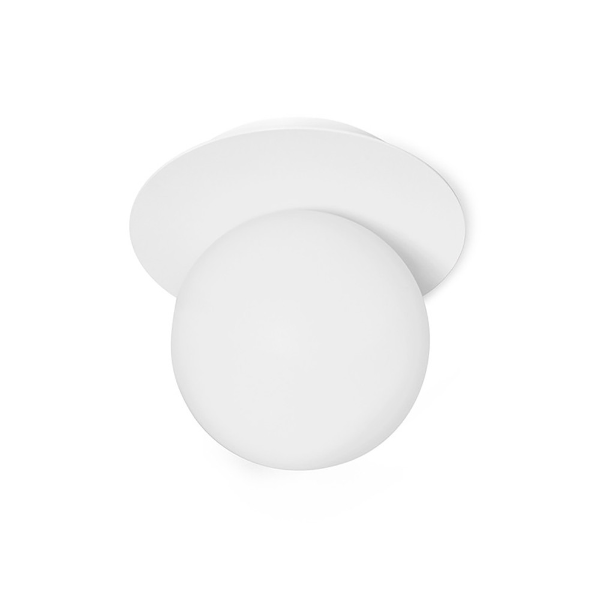 BORRA A WHITE