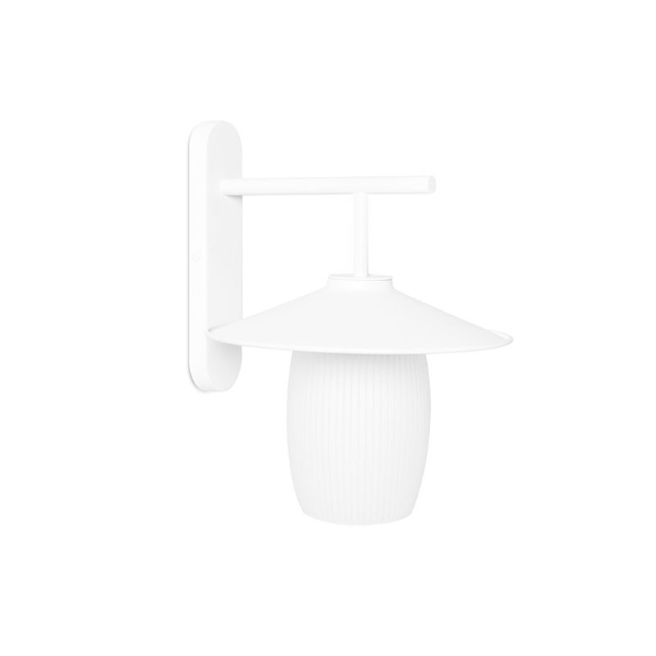 JINGU B WHITE